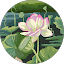 Harmony Avatar